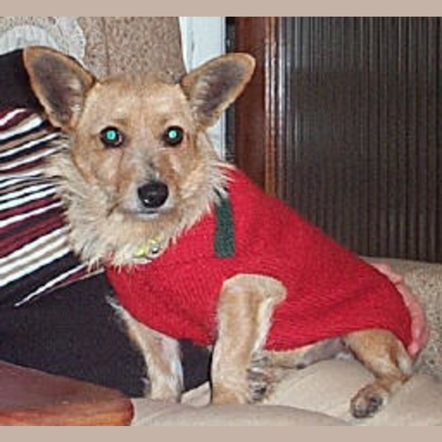 Photo of Polly