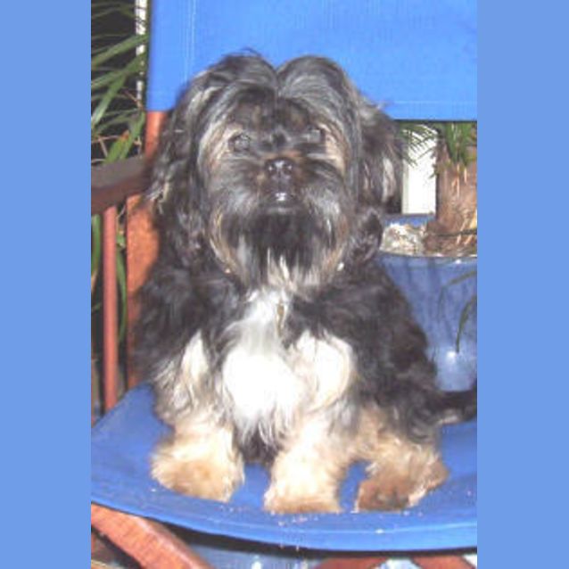 Photo of Millie