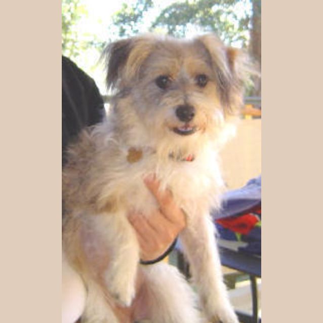 Photo of Judy Jetson