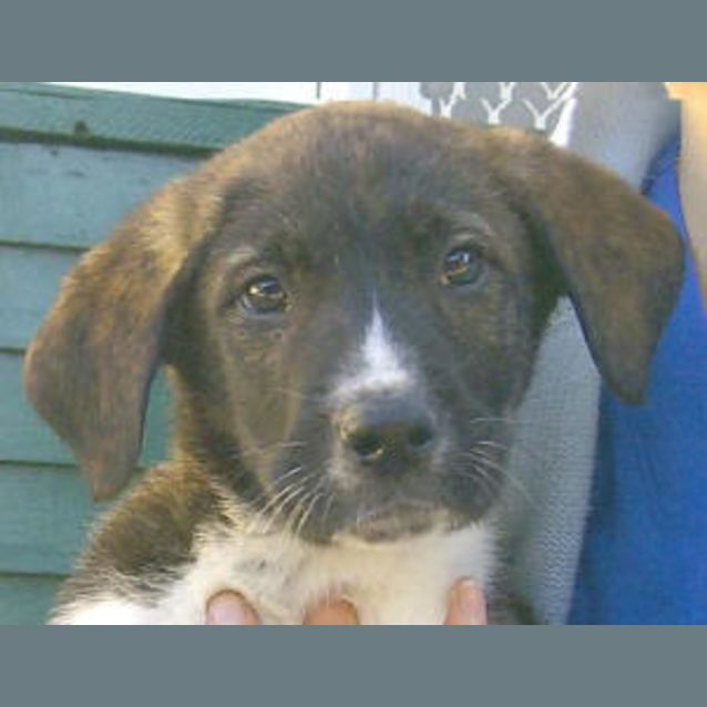 Photo of Clyde