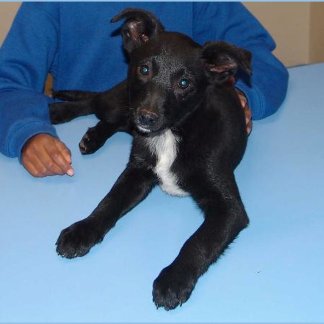 Photo of Sailor