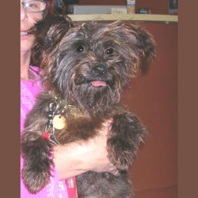 Photo of Scruffy Buttons