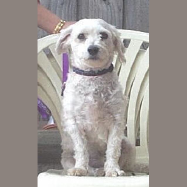 Photo of Monty