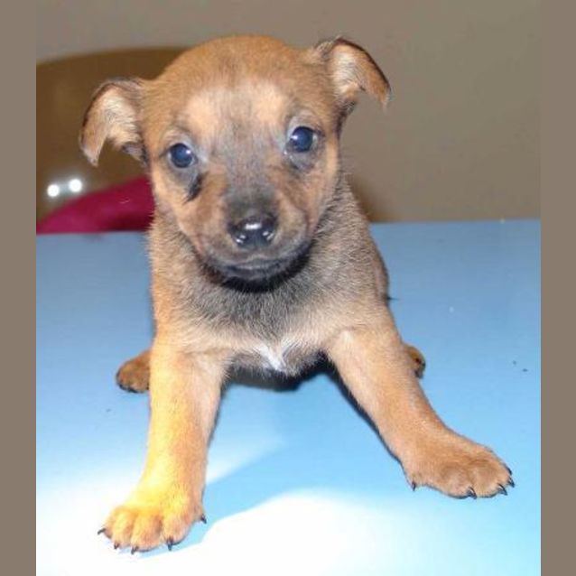 Photo of Zoom