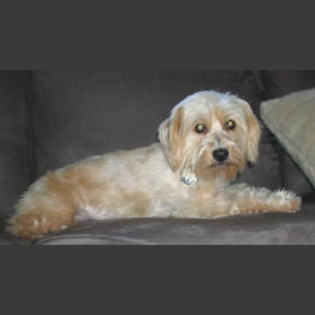 Photo of Sandra Dee