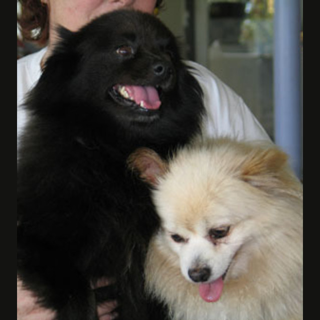 Photo of Benji & Smokie