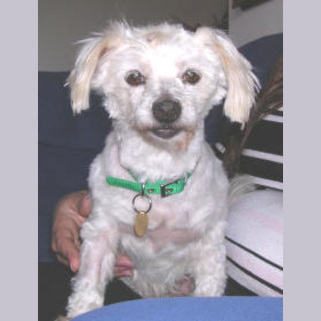 Photo of Nellie