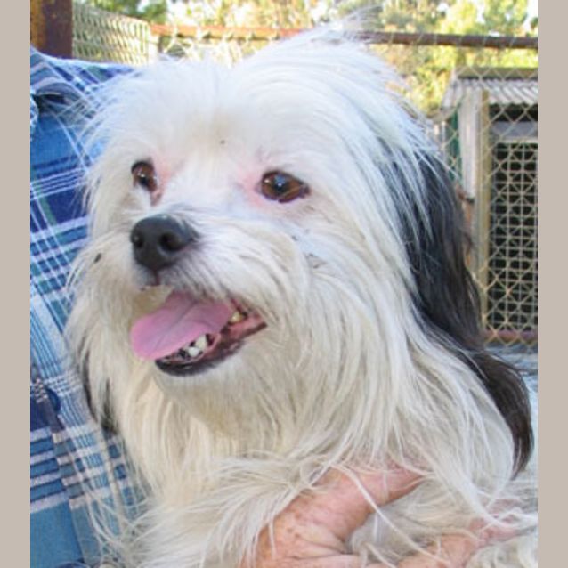 Photo of Buster