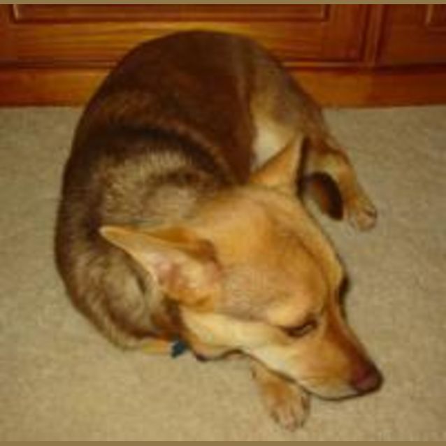 Photo of Lucy