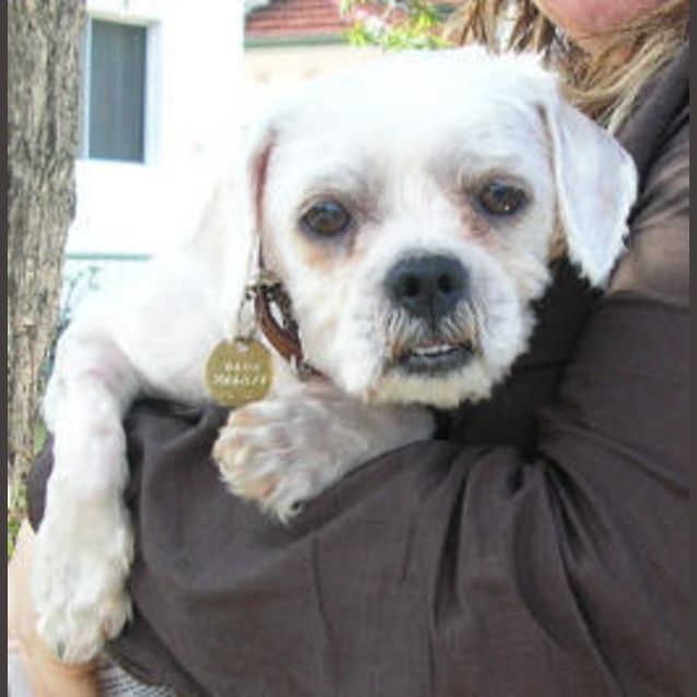 Photo of Bilbo Baggins