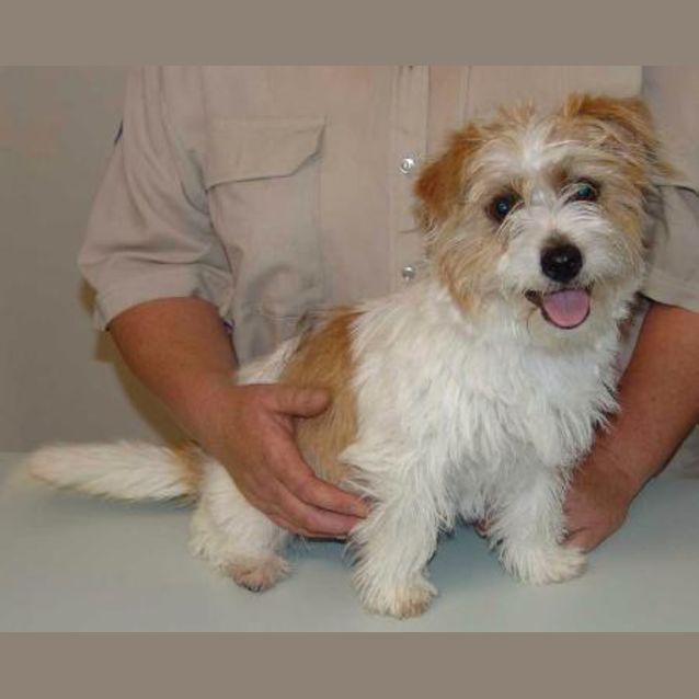 Photo of Jazz