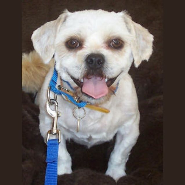 Photo of Fudge