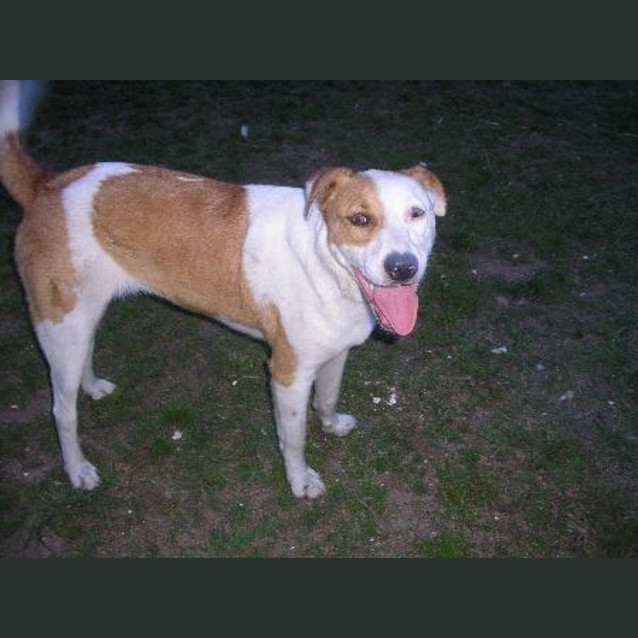Photo of Jack