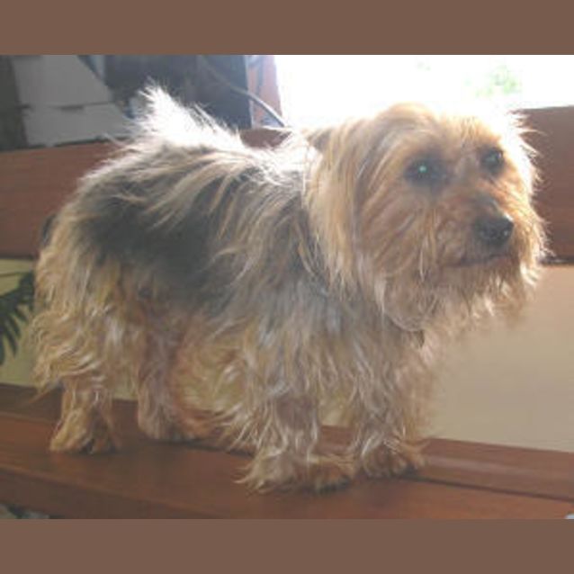 Photo of Ruby