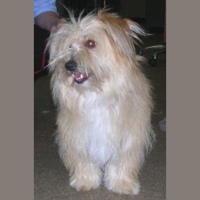 Photo of Chloe