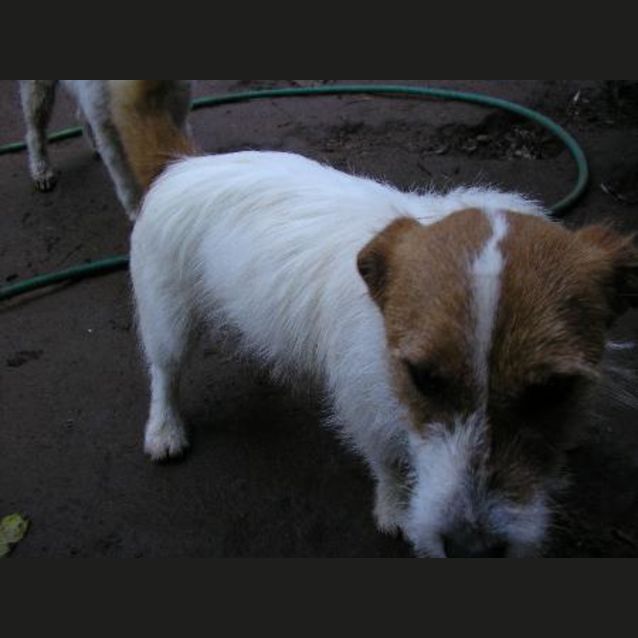 Photo of Eddy