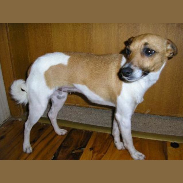 Photo of Penny