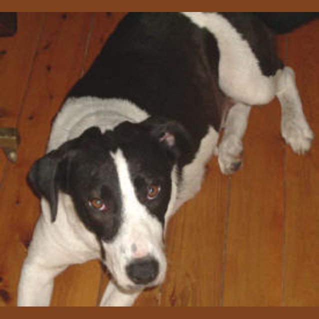 Photo of Molly