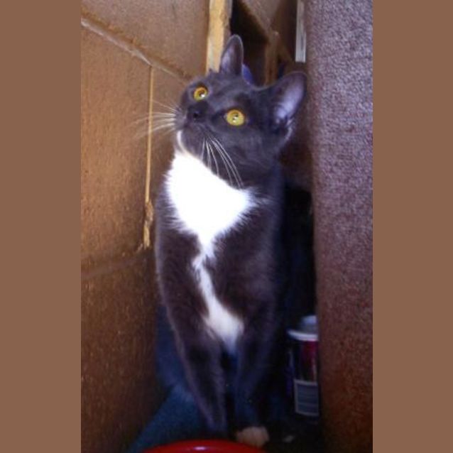 Photo of Zig Zag