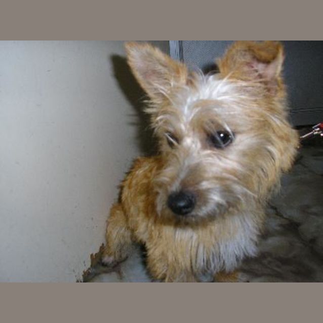 Photo of Coco