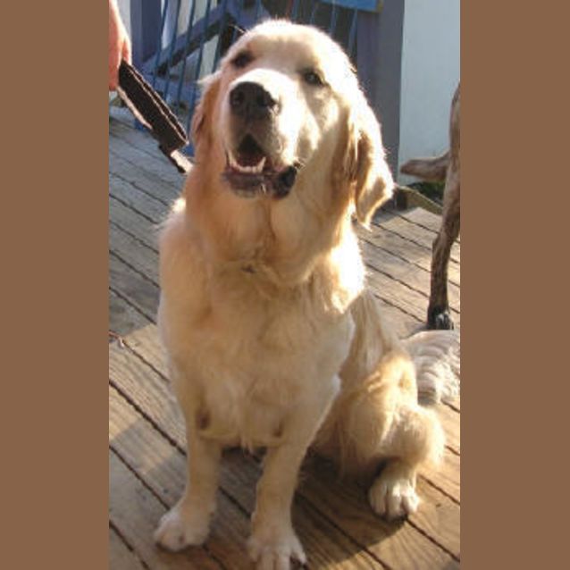 Photo of Maximus