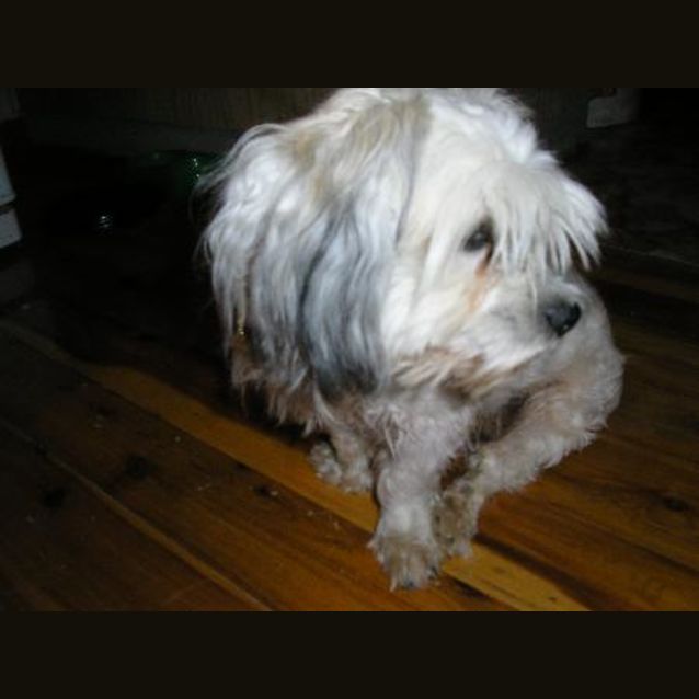 Photo of Mickey