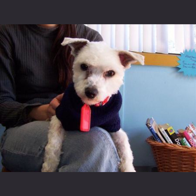 Photo of Rosie