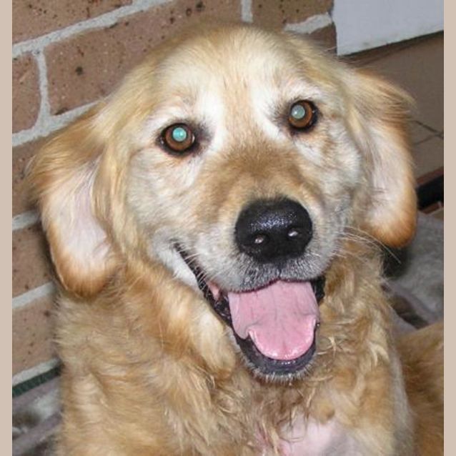 Photo of Tia