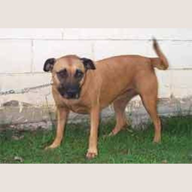 Photo of Meg