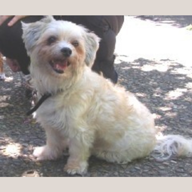 Photo of Pumpkin
