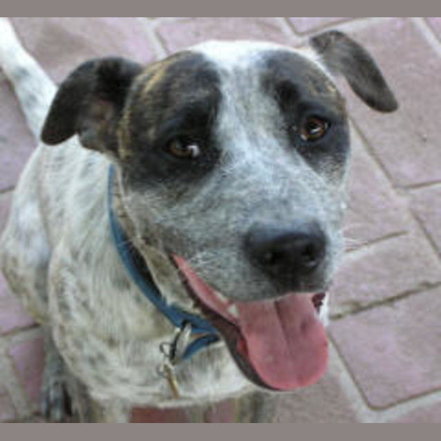Photo of Jo Jo