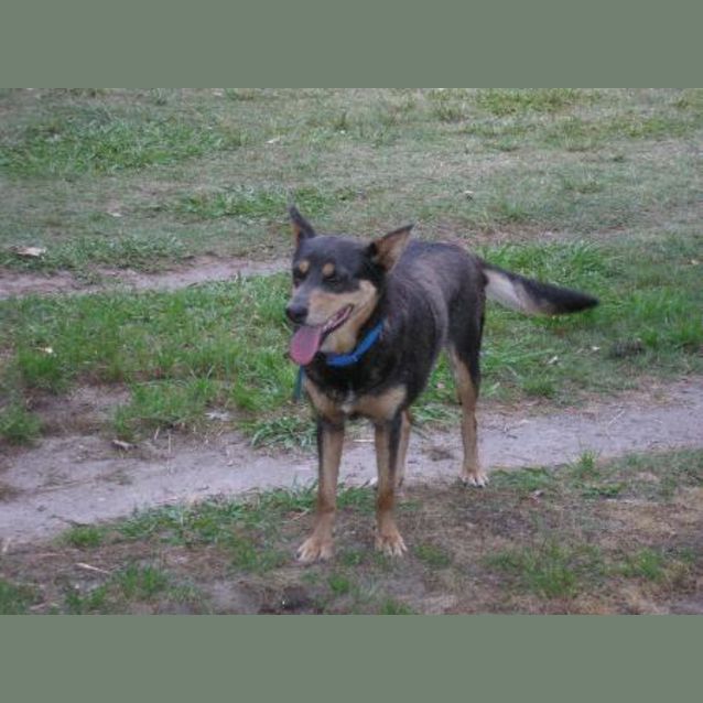 Photo of Judy