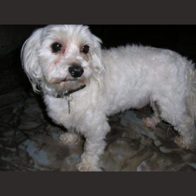Photo of Roly