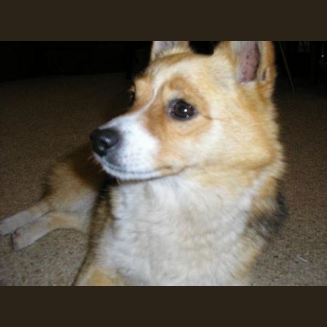 Photo of Bobby