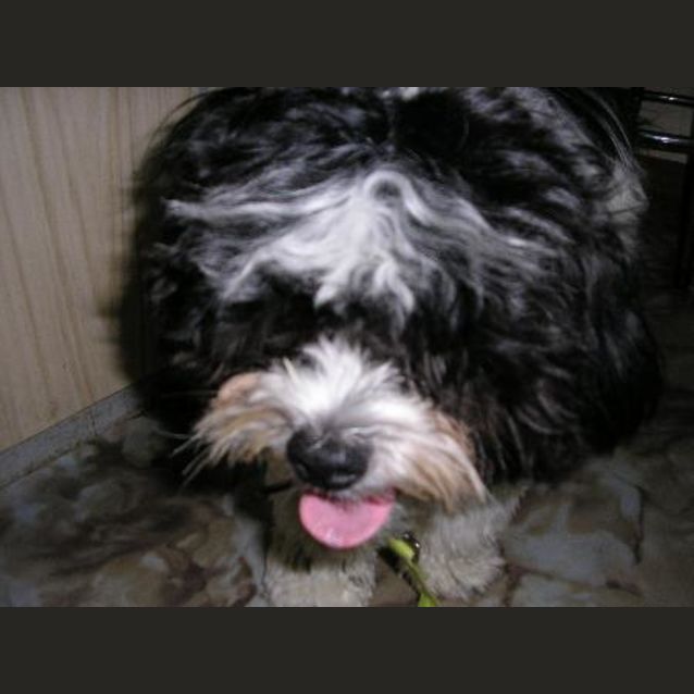 Photo of Charlie