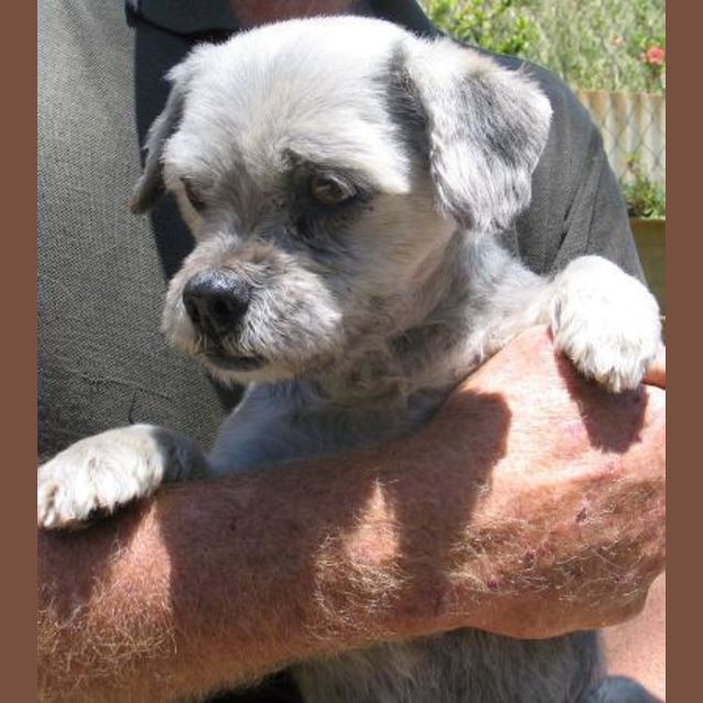 Photo of Otis