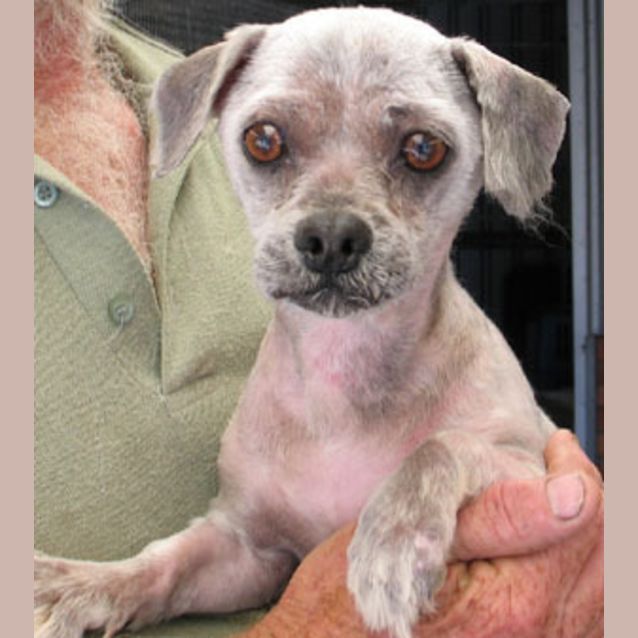 Photo of Otis