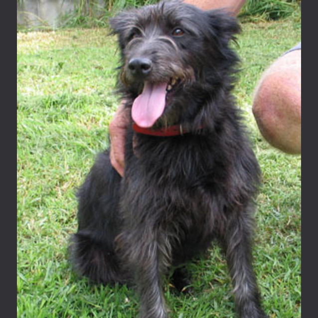 Photo of Tito