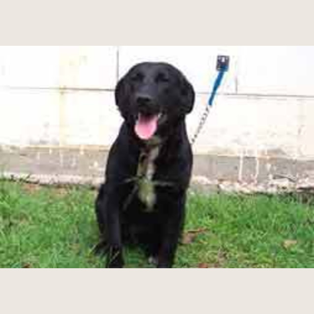 Photo of Molly