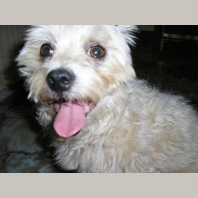 Photo of Monty