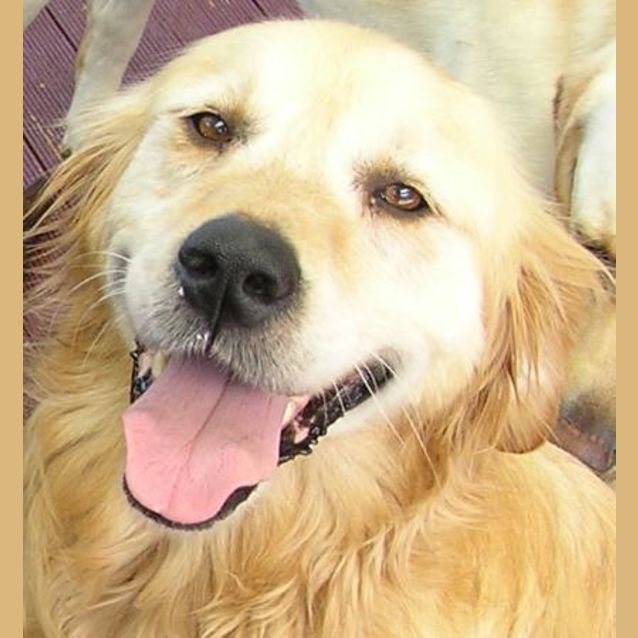 Photo of Tia