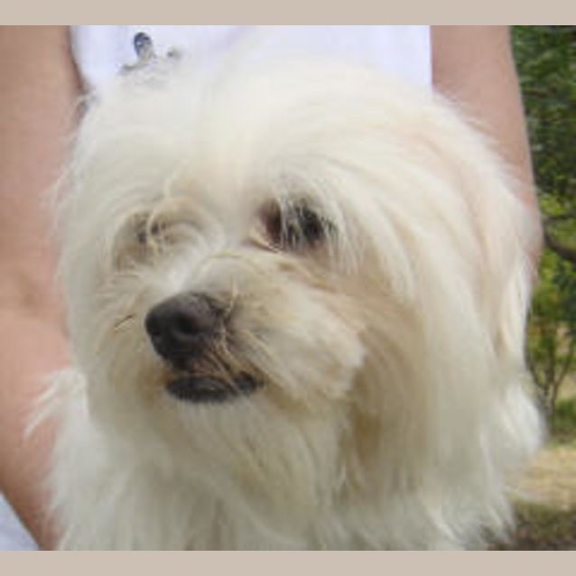 Photo of Razz