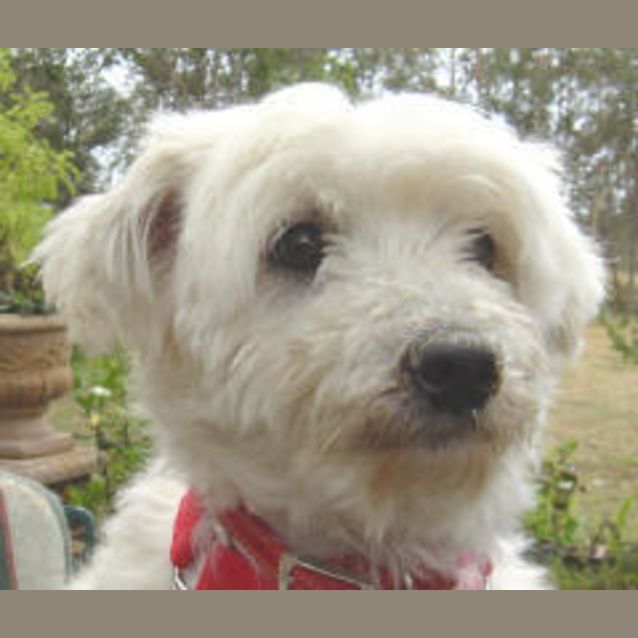 Photo of Webber