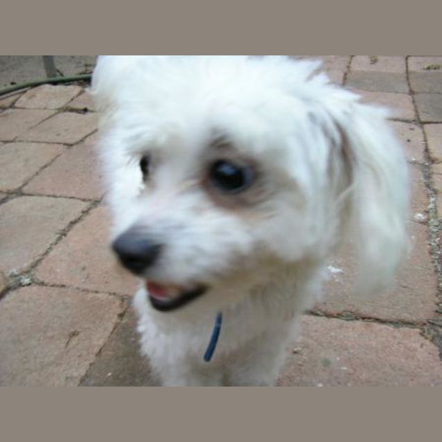 Photo of Marty