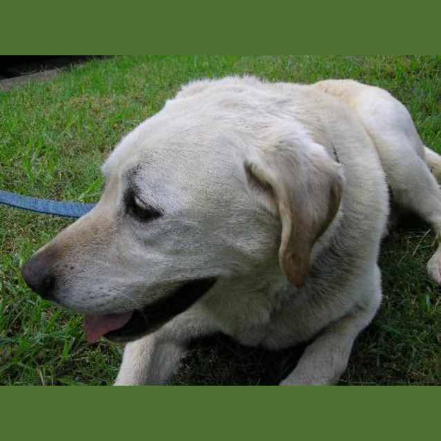 Photo of Monty