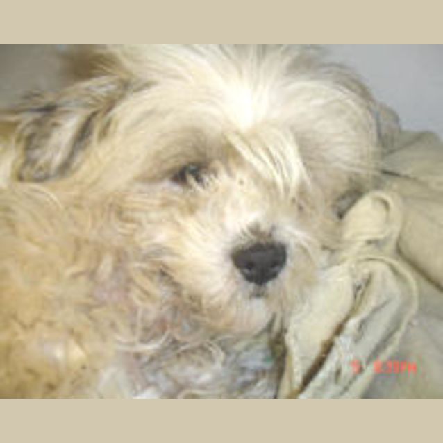 Photo of Mason