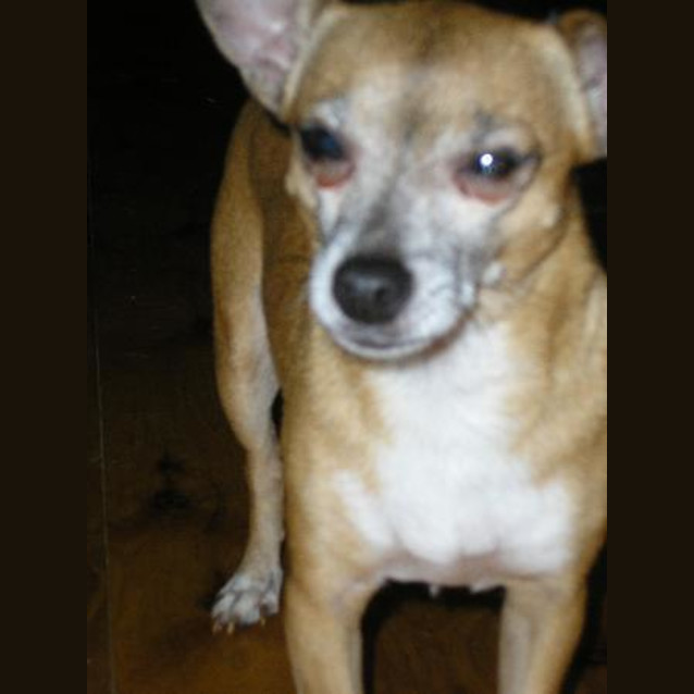 Photo of Minnie