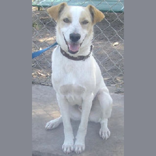 Photo of Louie