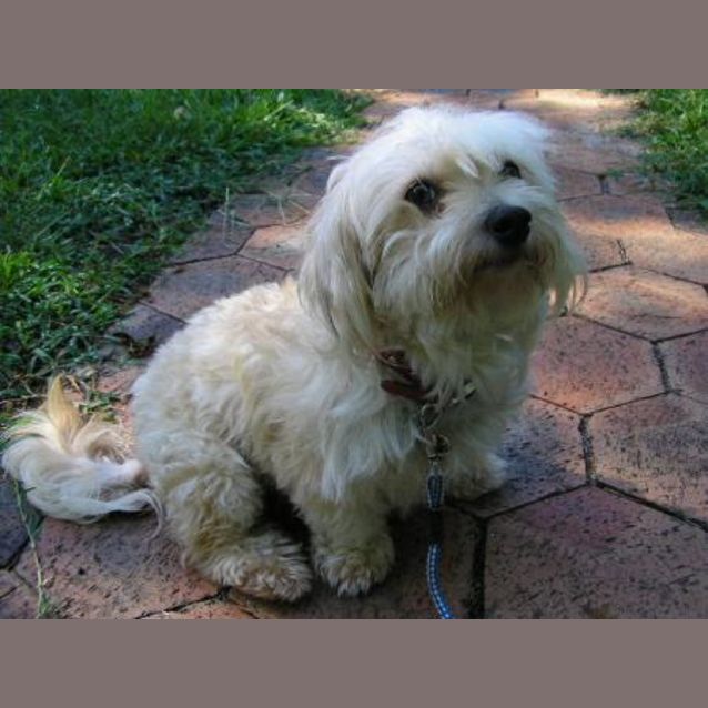 Photo of Monty