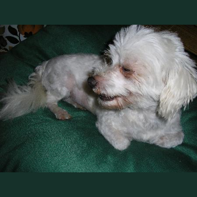 Photo of Happy